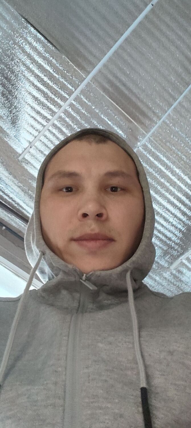  53295776  , 33 ,    -