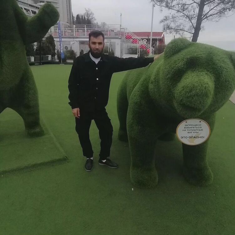 ���� 49640426 ������� ����, 34 ����, ���� ���������� � �����������