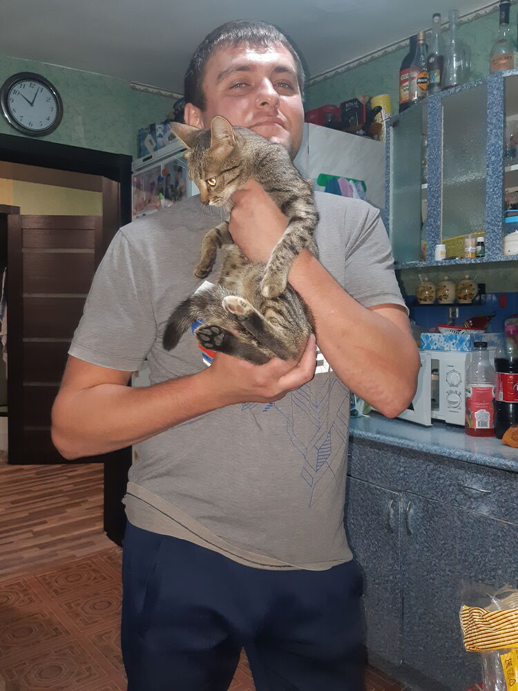  ,   , 35 ,   ,   