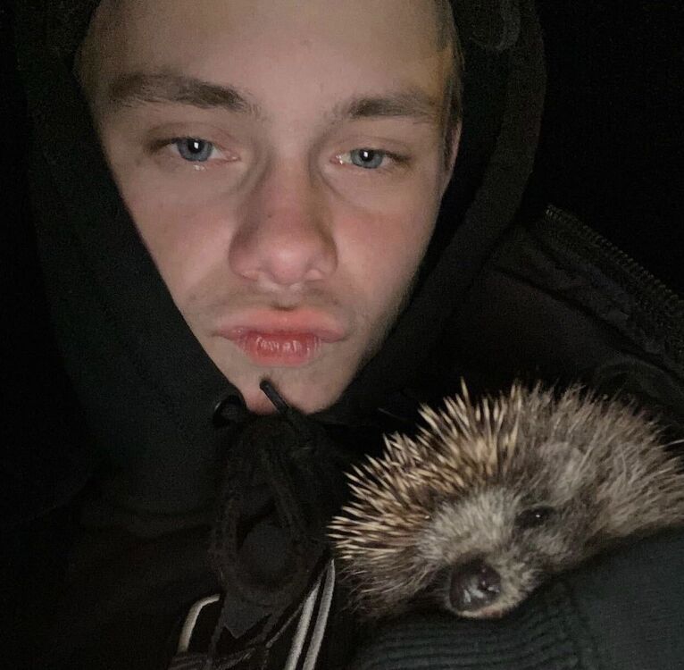 ���� 33617126 ����� ������, 22 ����, ���� ���������� � �����-����������