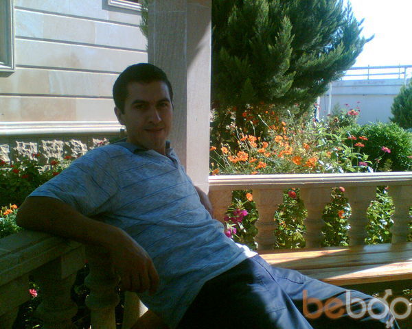 ���� 324626 ������� Safari, 44 ����, ���� ���������� � ����