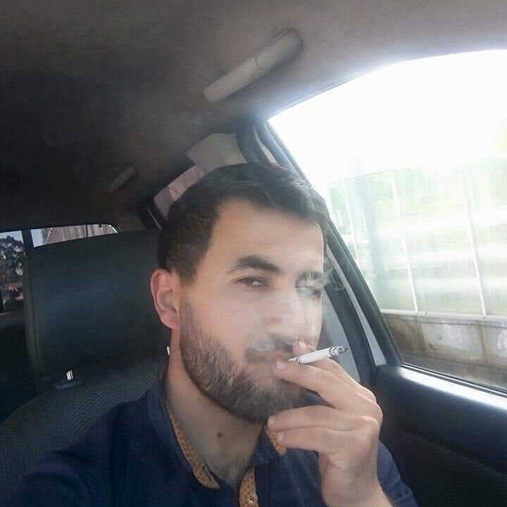  52730036  , 31 ,    -