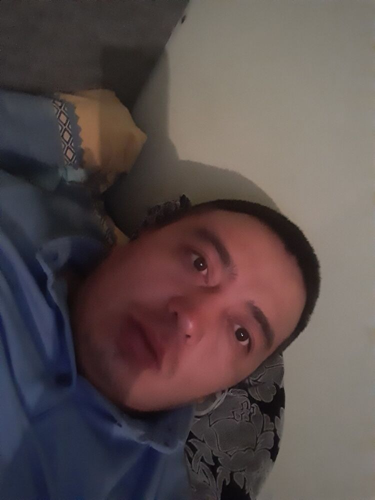 ���� 17317426 ������� �����, 36 ���, ���� ���������� � ��������