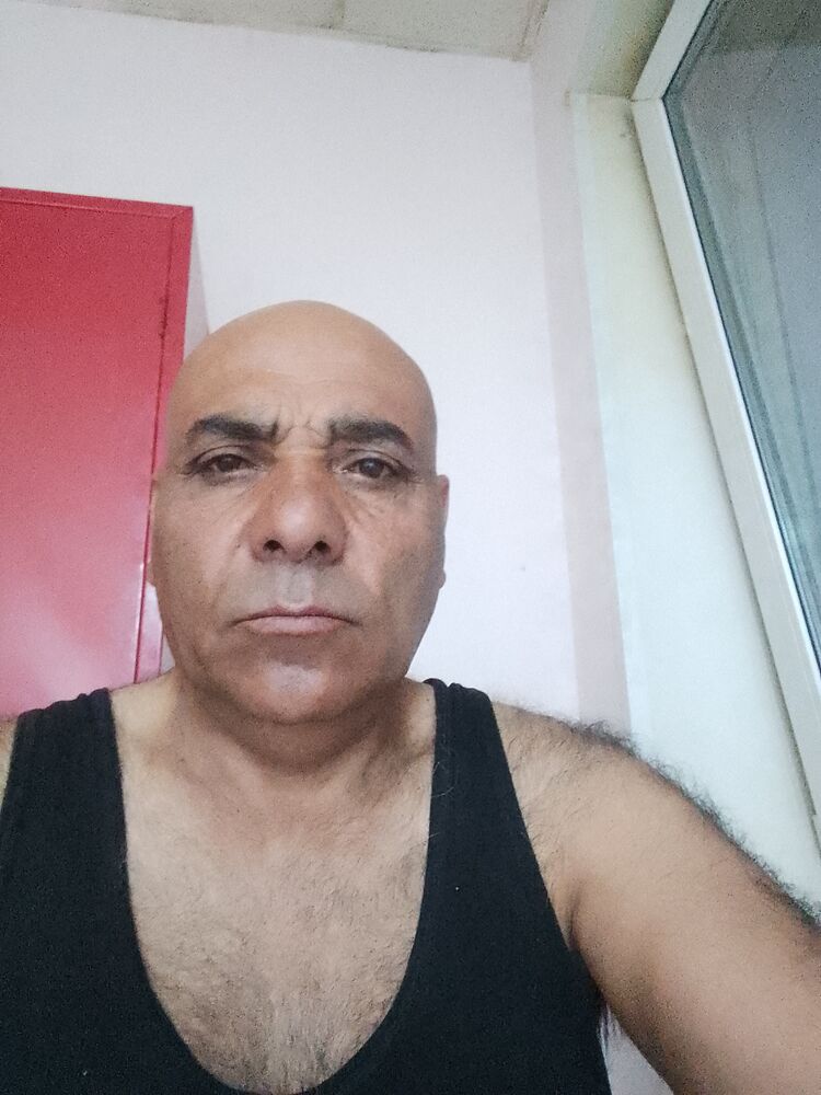  34124626  Ayrik, 60 ,    