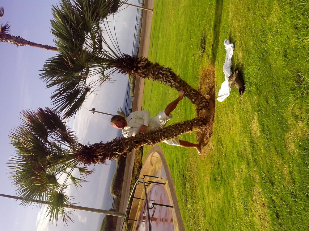  ,   , 55 ,   ,   , c , 