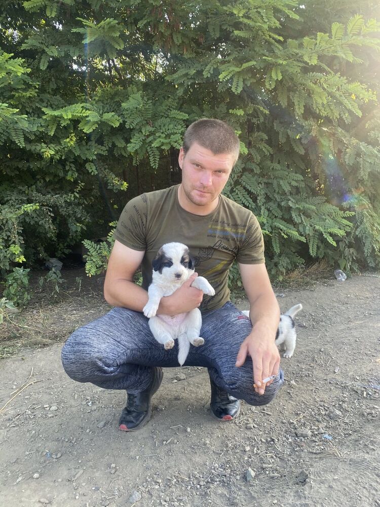 ���� 29873936 ������� ����, 33 ����, ���� ���������� � ������