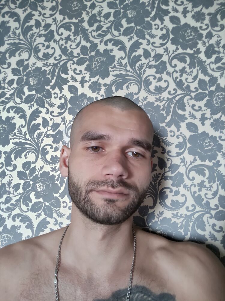  46397466  , 31 ,    