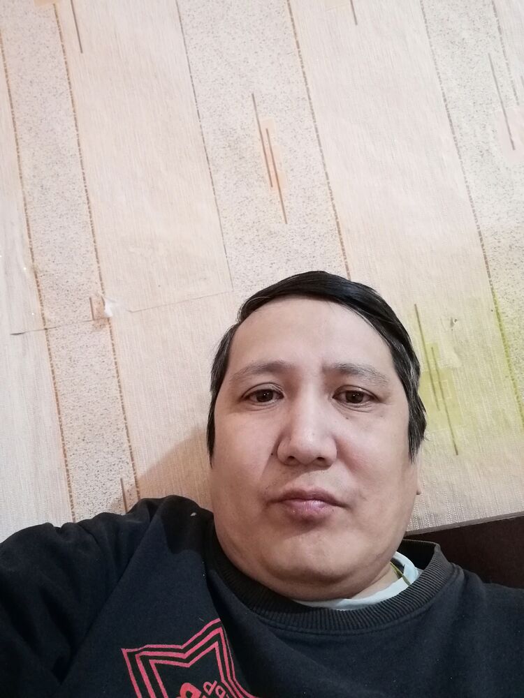  49932306  , 42 ,    