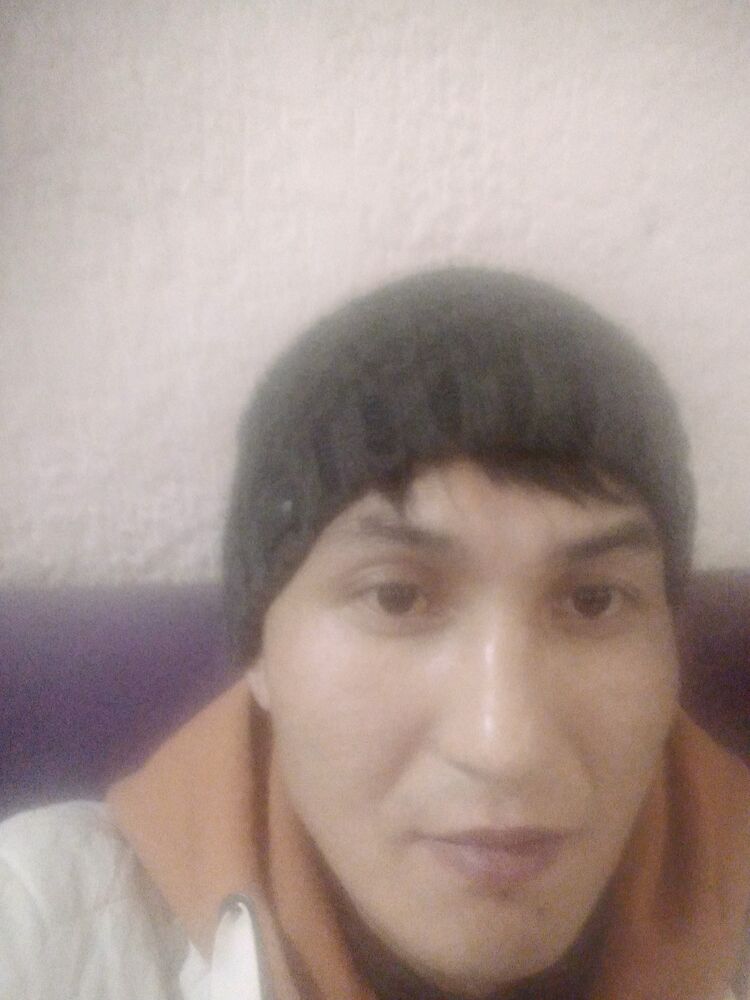  51633856  , 38 ,    