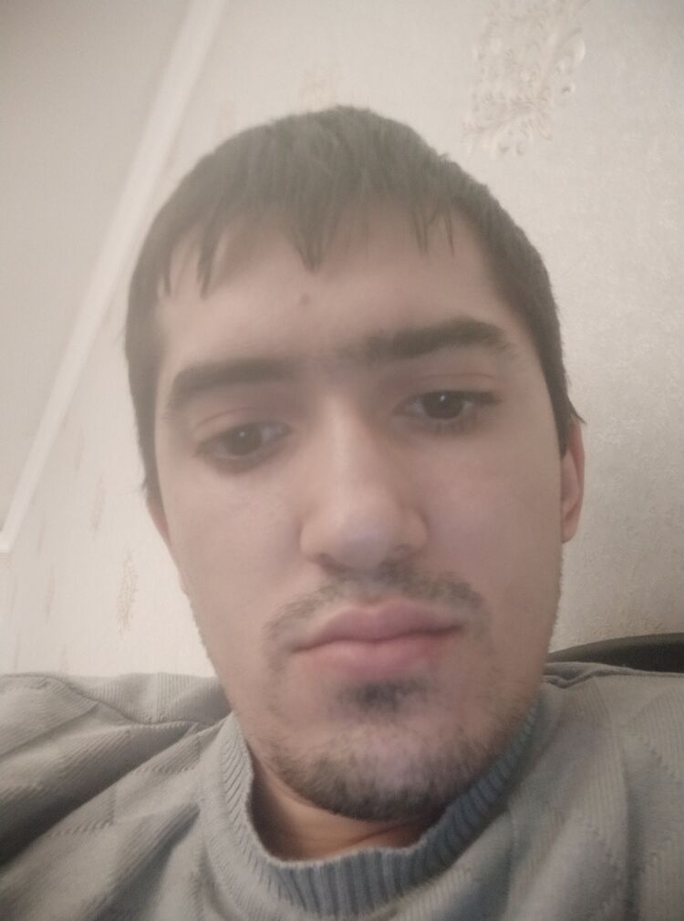  42675066  , 28 ,    