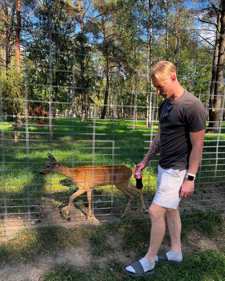 ���� 54683636 ������� �������, 34 ����, ���� ���������� � ������