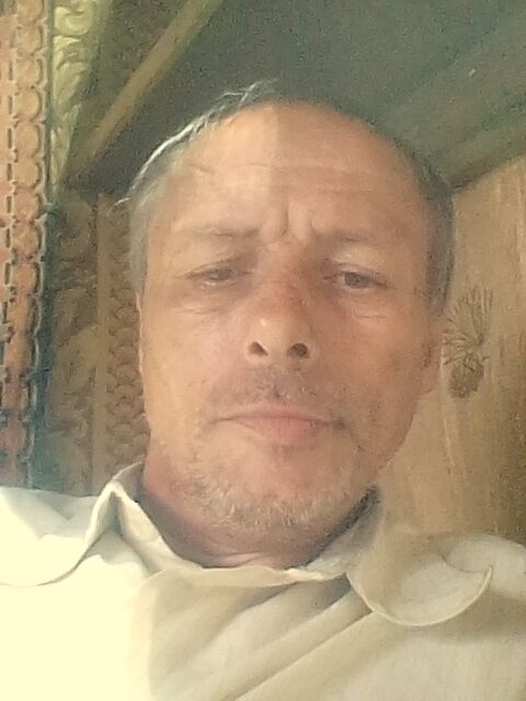  34808356  , 54 ,    