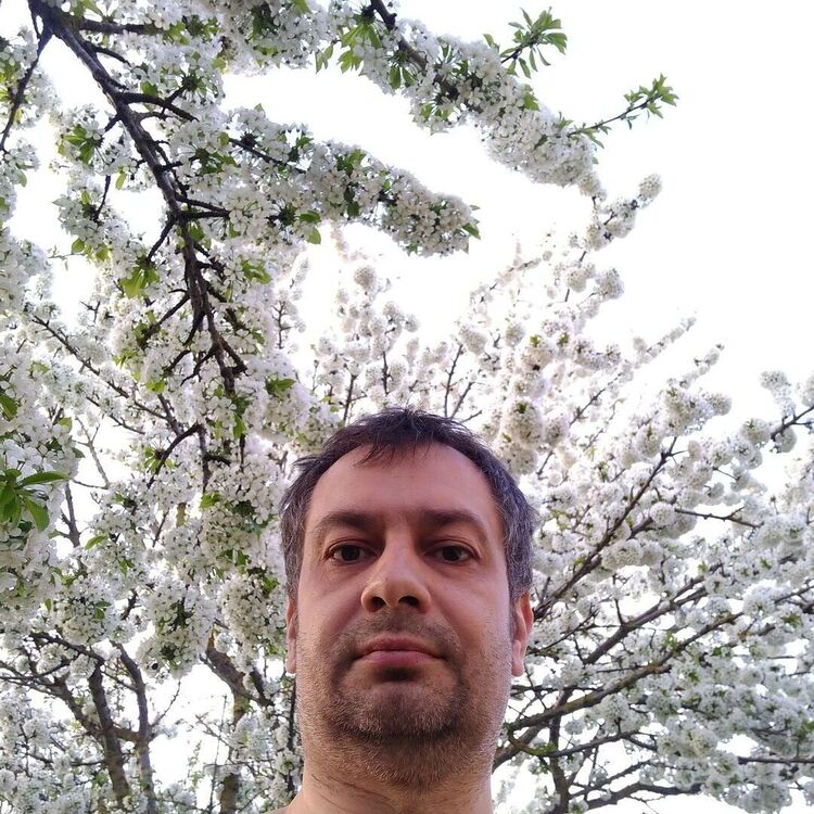 ���� 55895726 ������� ������, 45 ���, ���� ���������� � �����