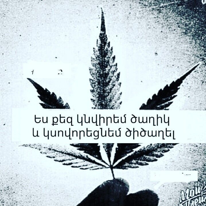 ,   GAGIK, 27 ,   ,   , c 