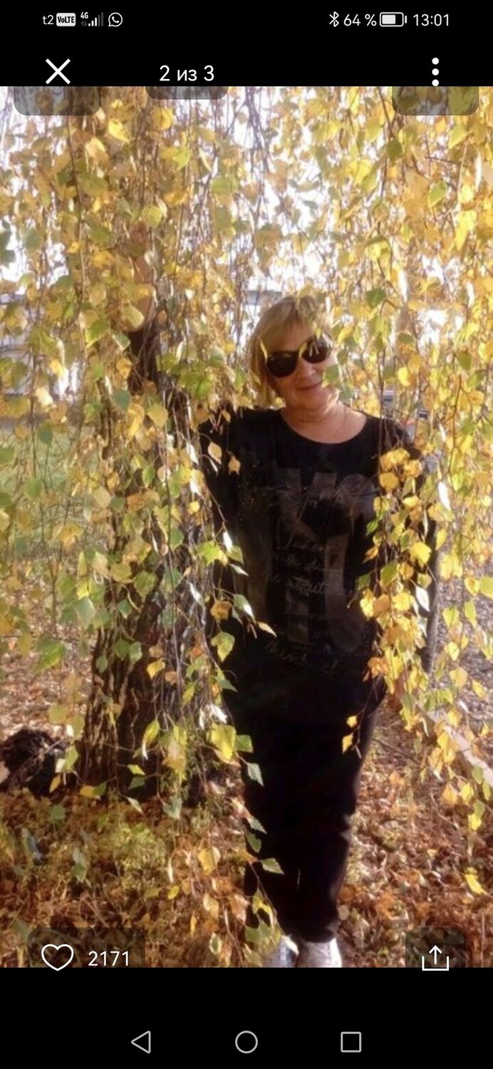 ���� 49057016 ������� ����, 72 ����, ���� ���������� � ����