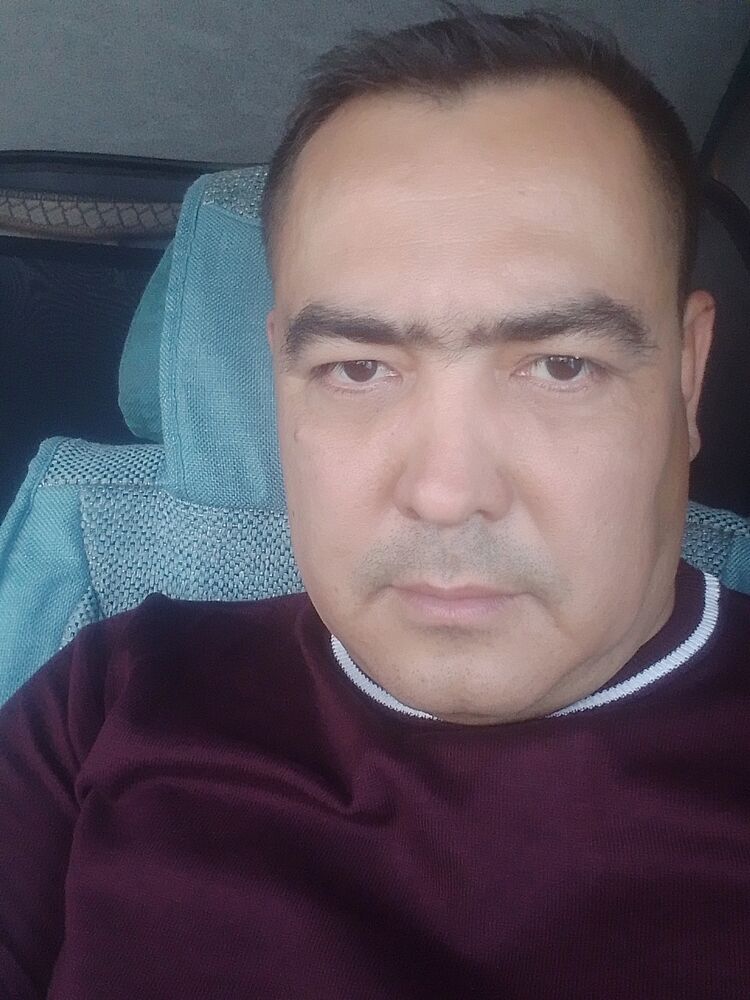  49683736  , 41 ,    