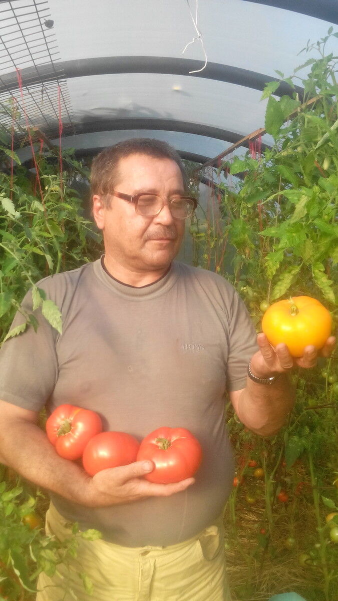  ,   , 59 ,   ,   , c 