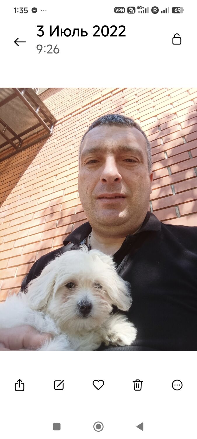 ���� 55779256 ������� Gocha, 43 ����, ���� ���������� � ������