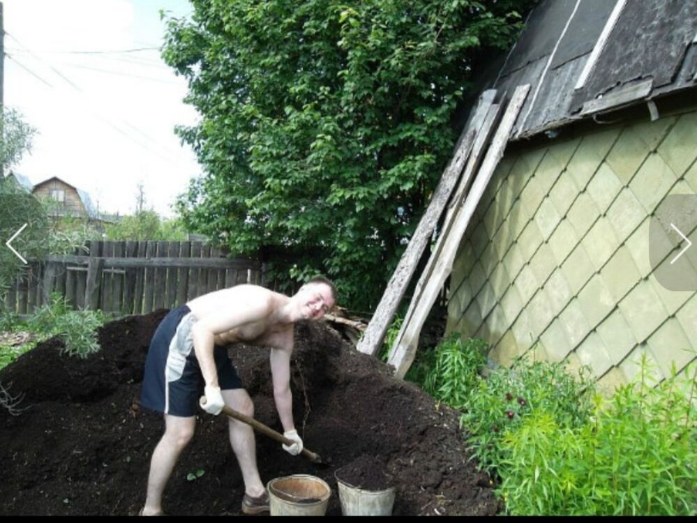 ���������� �����, ���� ������� �����, 41 ���, ������������ ��� ������, ����� � ���������