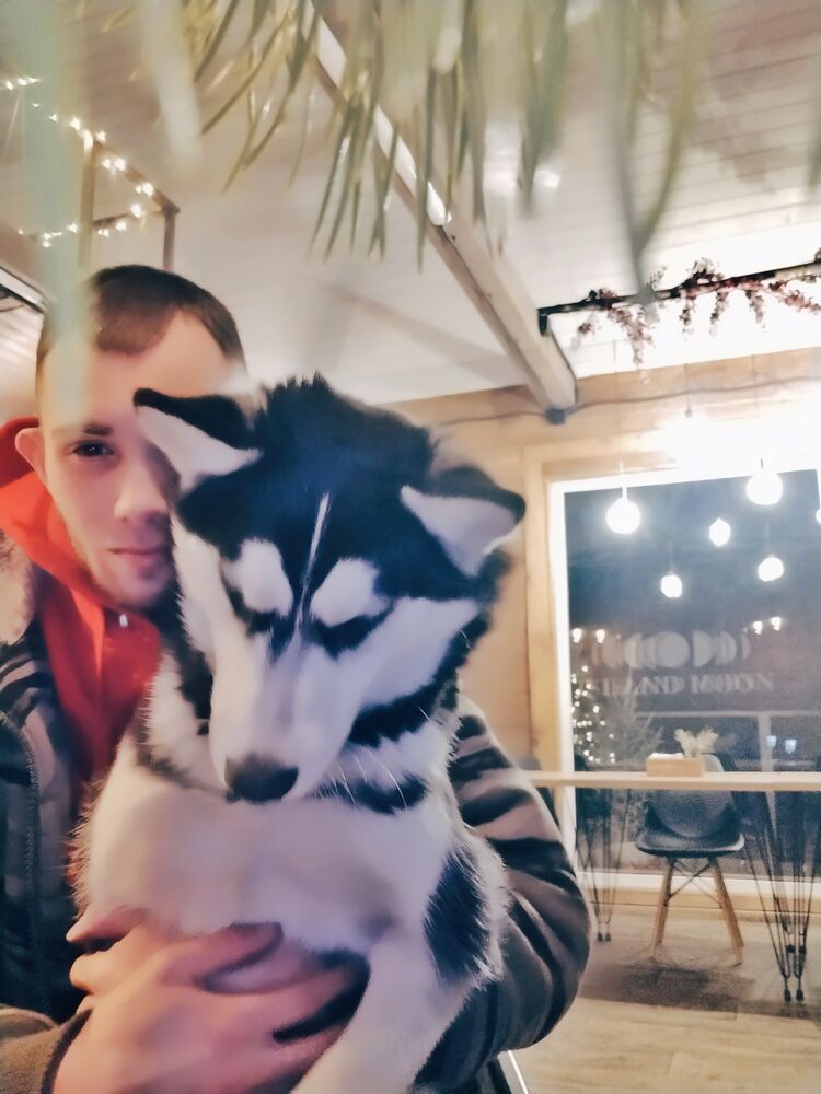 ���������� ���������, ���� ����� �������, 22 ����, ������������ ��� ����� � ���������, c�������� ���������