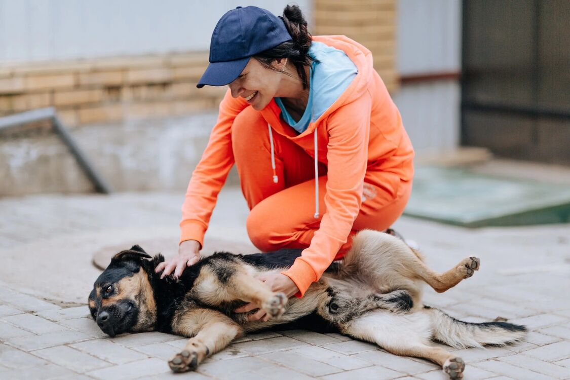 ���� 37555236 ������� ������, 36 ���, ���� ���������� � ������������