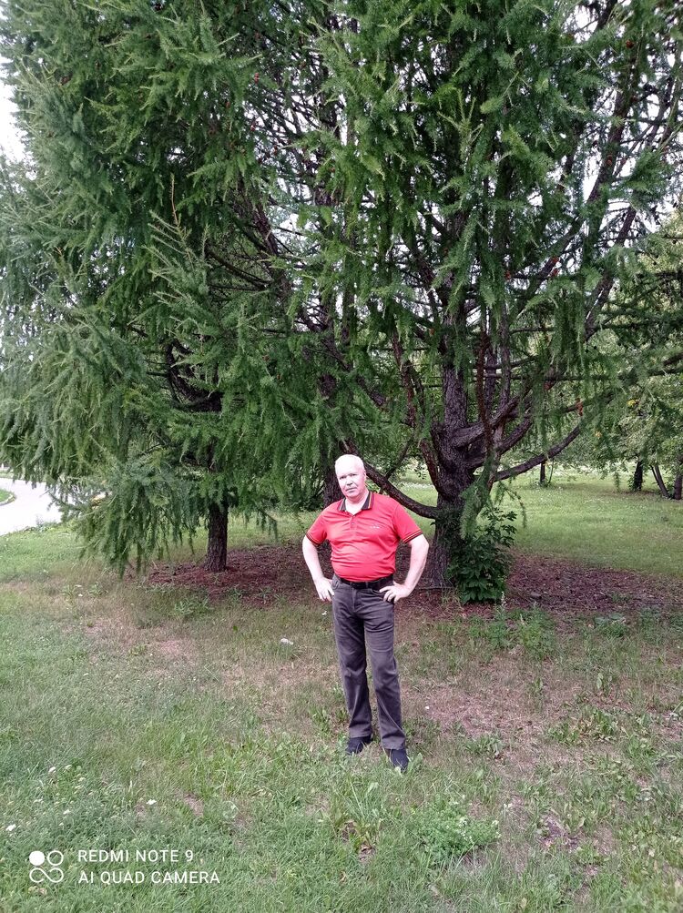 ���������� ������������, ���� ������� �����, 61 ���, ������������ ��� ������, ����� � ���������