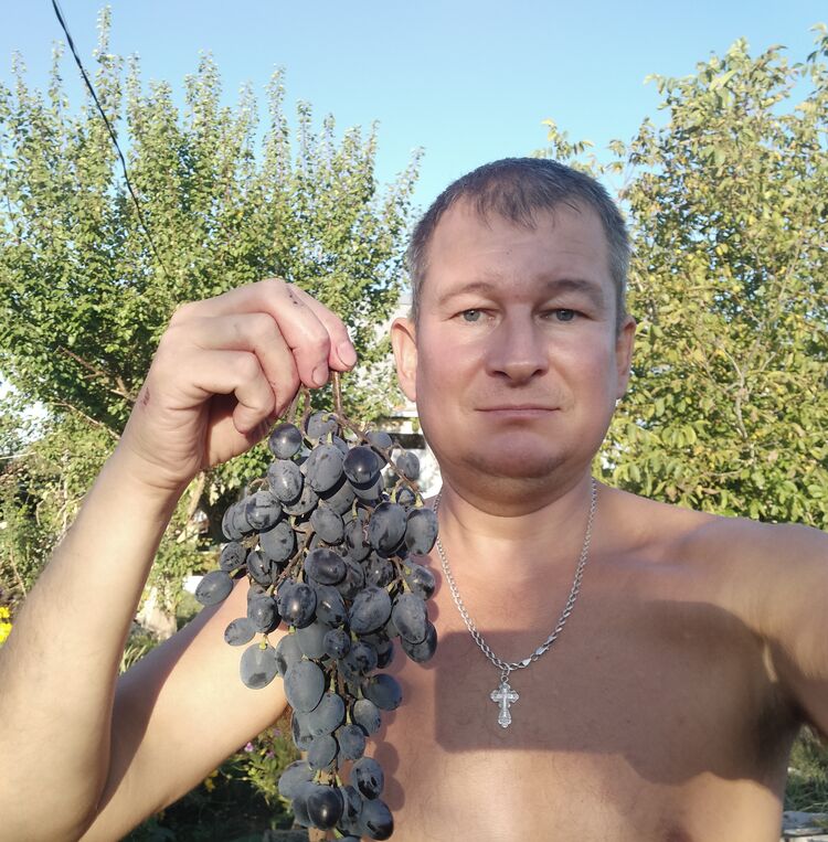 ���������� �����, ���� ������� �����, 46 ���, ������������ ��� ����� � ���������, c�������� ���������