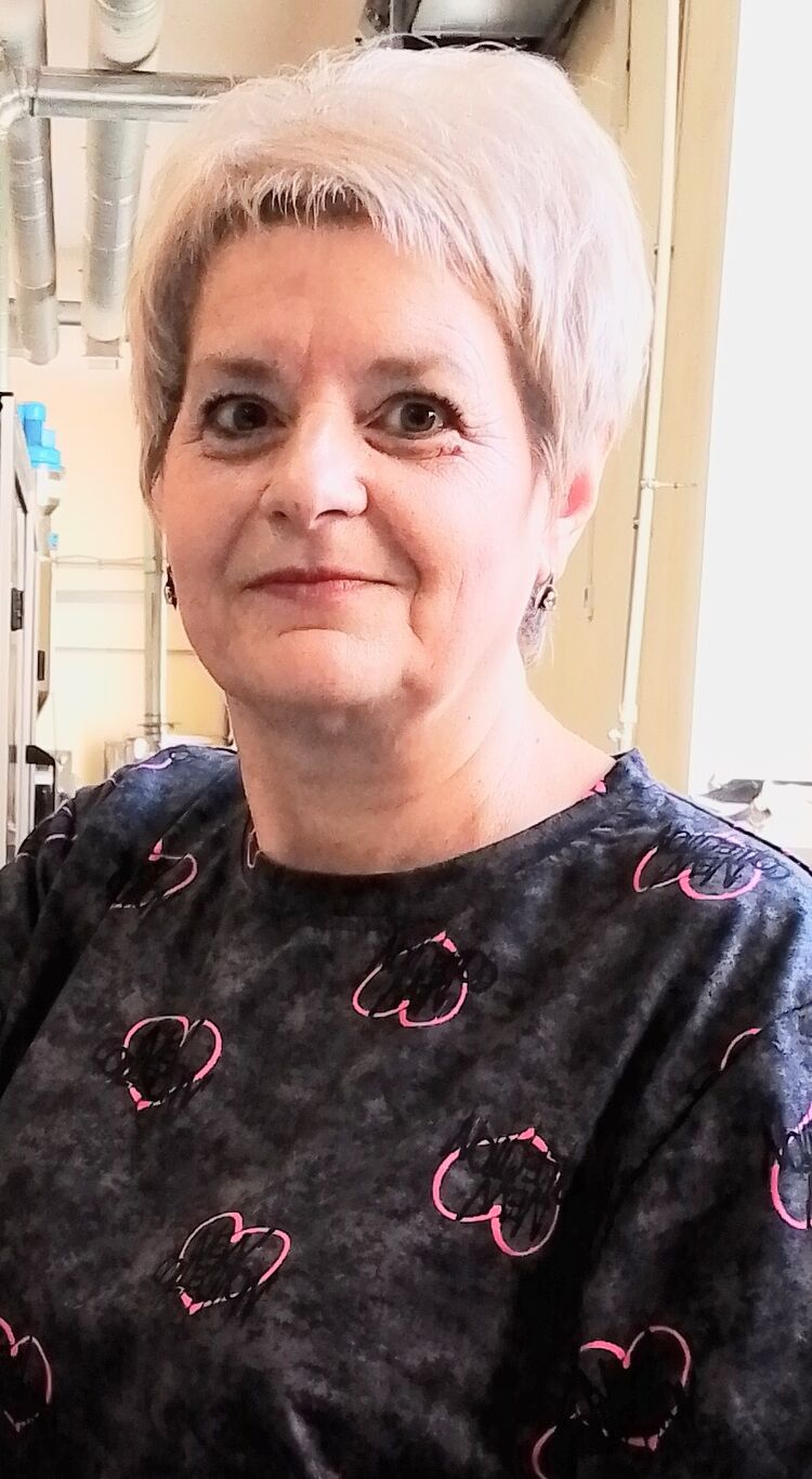 ���� 56171406 ������� �������, 56 ���, ���� ���������� � ����������