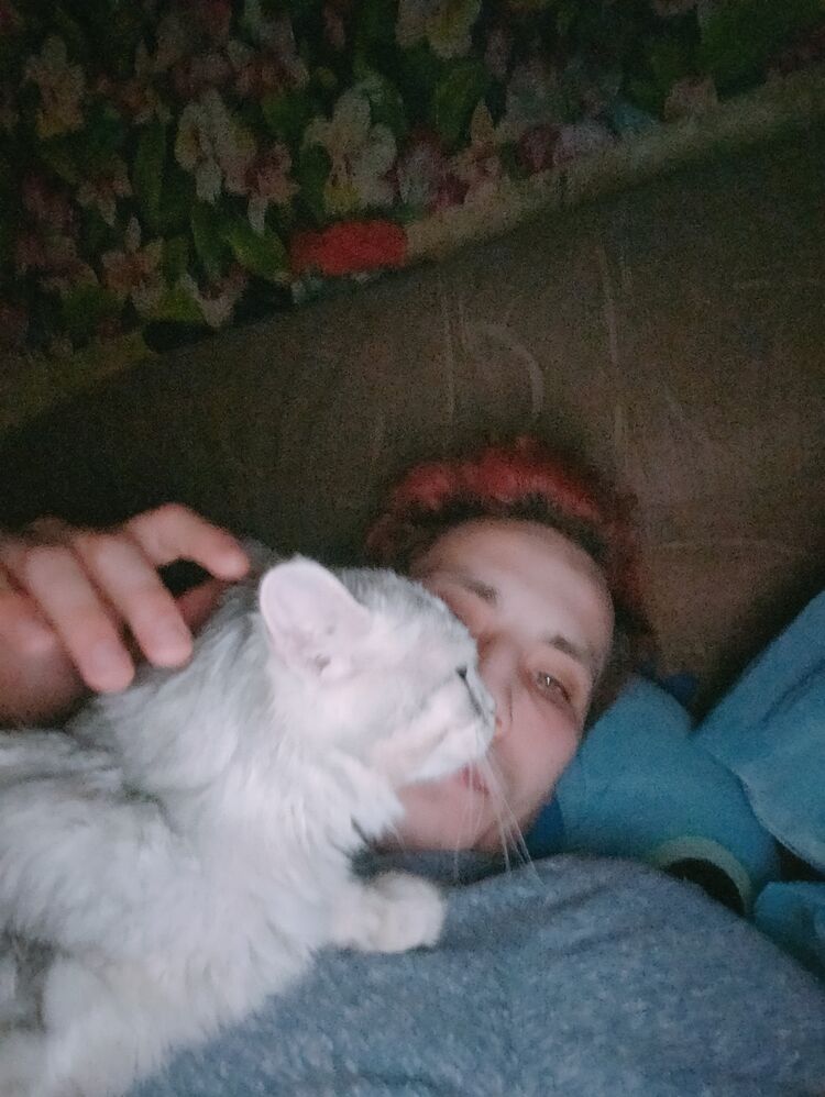  ,   , 32 ,   ,   , 