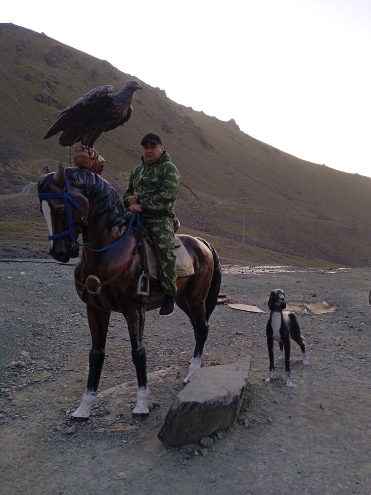  53767206  , 35 ,    -