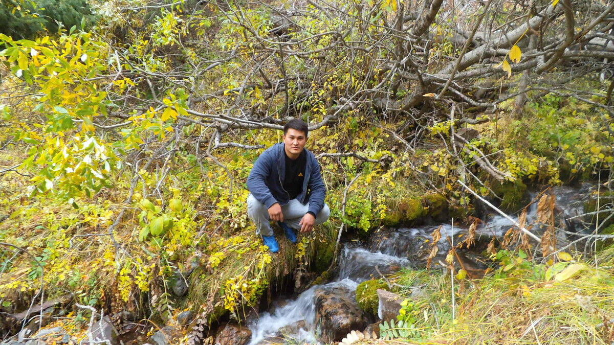 ���� 12733776 ������� ����, 47 ���, ���� ���������� � ������