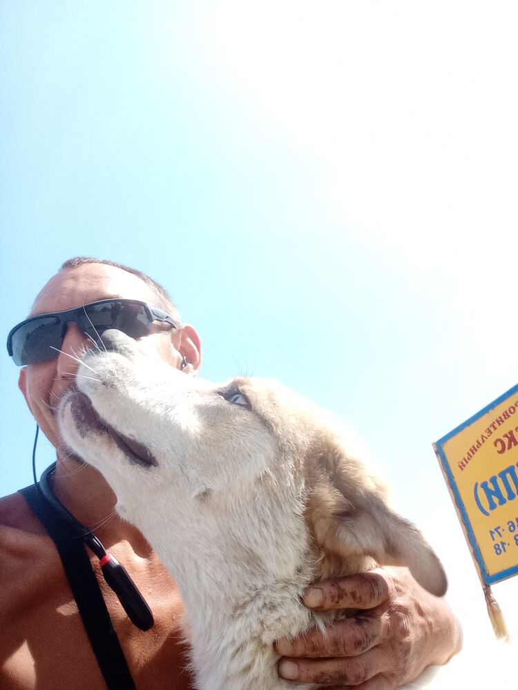 ���������� ������-��-����, ���� ������� �������, 37 ���, ������������ ��� ������, ����� � ���������, c�������� ���������, ���������