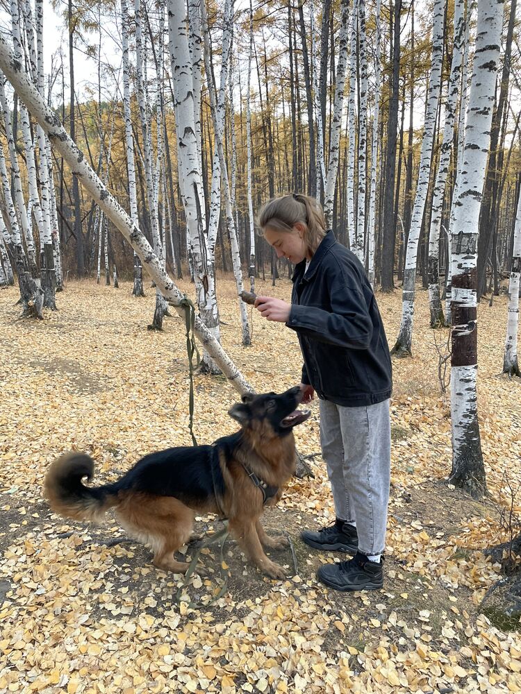 ���� 55554626 ������� ������, 21 ���, ���� ���������� � ����