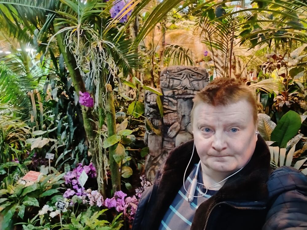 ���������� ������, ���� ������� ���, 46 ���, ������������ ��� ������, ����� � ���������, c�������� ���������, ���������