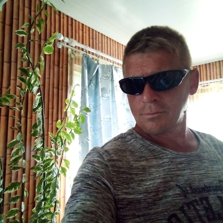 ���� 23354996 ������� ���������, 50 ���, ���� ���������� � ������������