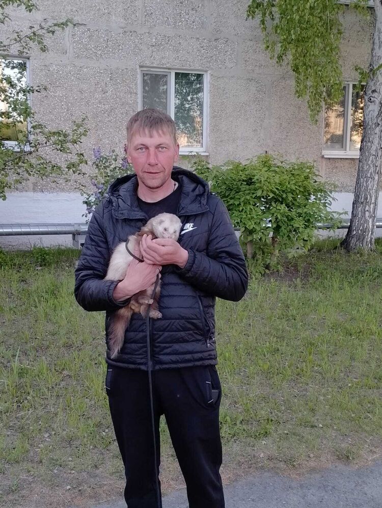  ,   , 35 ,  