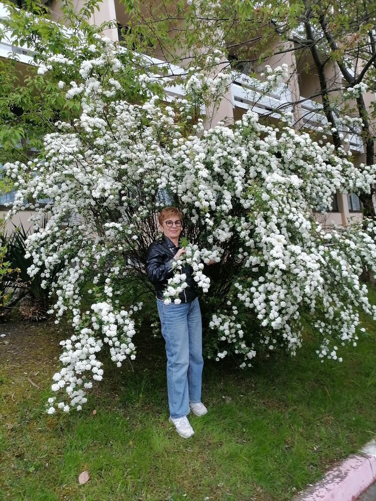 ���������� ����, ���� ������� �����, 66 ���, ������������ ��� ����� � ���������, c�������� ���������