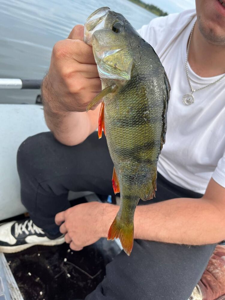 ���� 53716926 ������� ����, 28 ���, ���� ���������� � �����