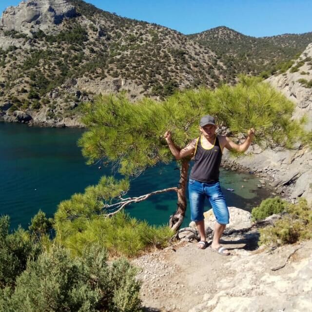 ���� 33527916 ������� �����, 38 ���, ���� ���������� � �������