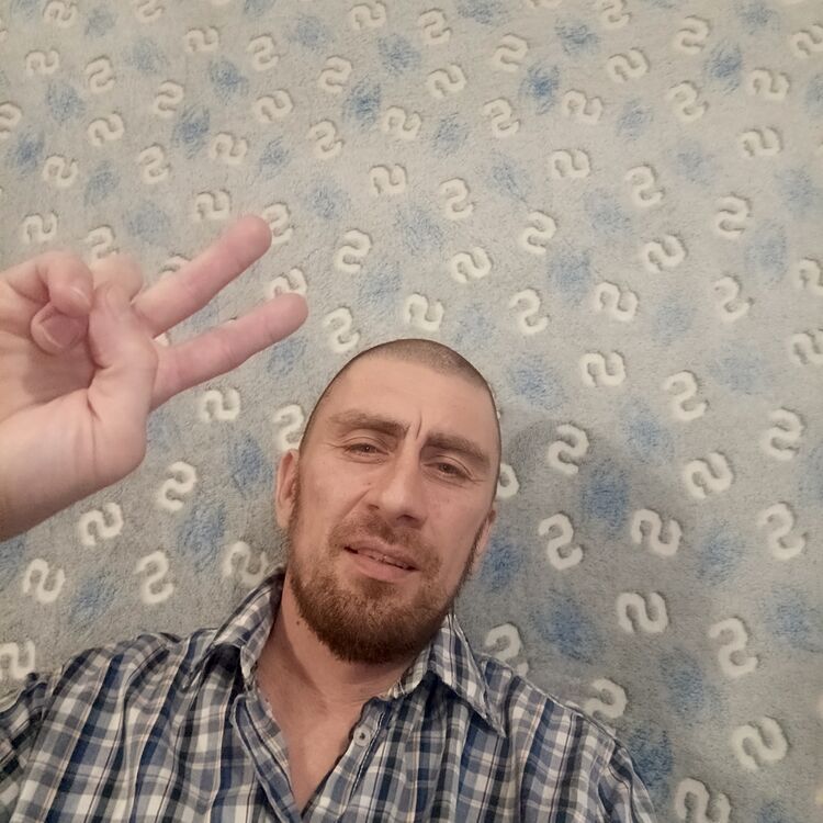 ���� 55359586 ������� ������, 41 ���, ���� ���������� � ���