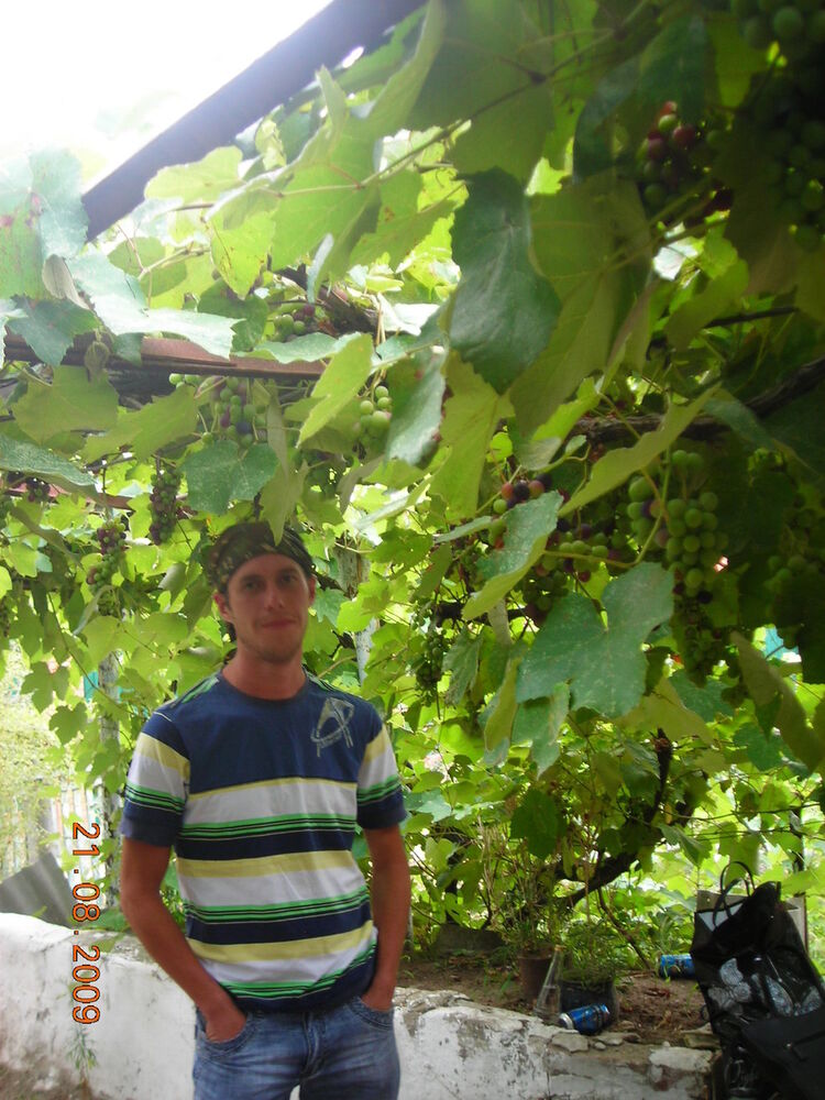 ���������� ������������, ���� ������� �����, 43 ����, ������������ ��� ������