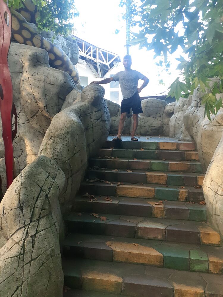 ���� 29381536 ������� ����, 33 ����, ���� ���������� � ����