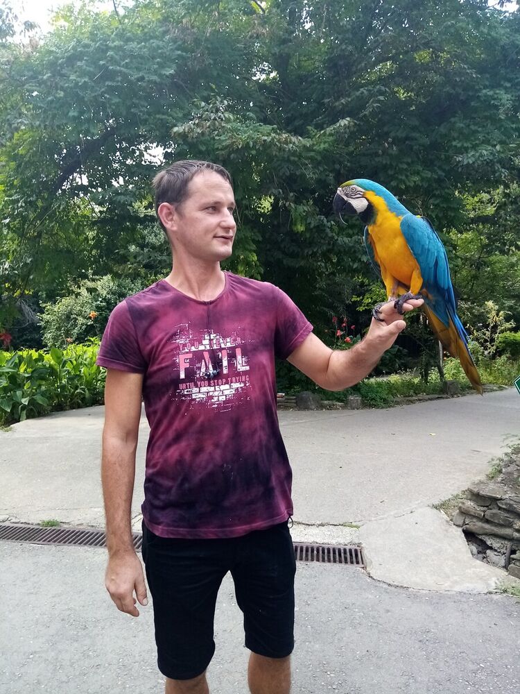 ���������� �����, ���� ������� �������, 39 ���, ������������ ��� ����� � ���������, c�������� ���������