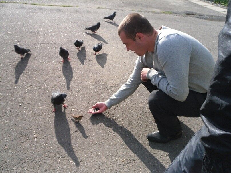 ���������� �������, ���� ������� �������, 36 ���, ������������ ��� ������