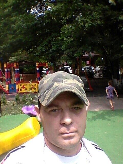  31394856  , 42 ,    