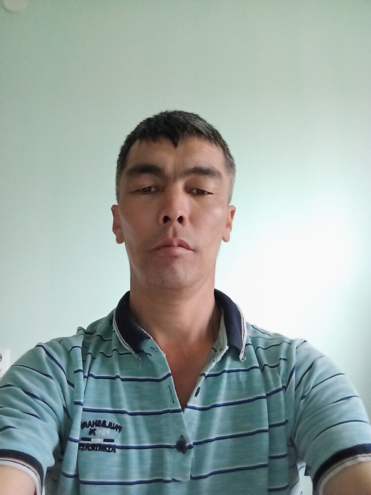  26482346  , 52 ,    