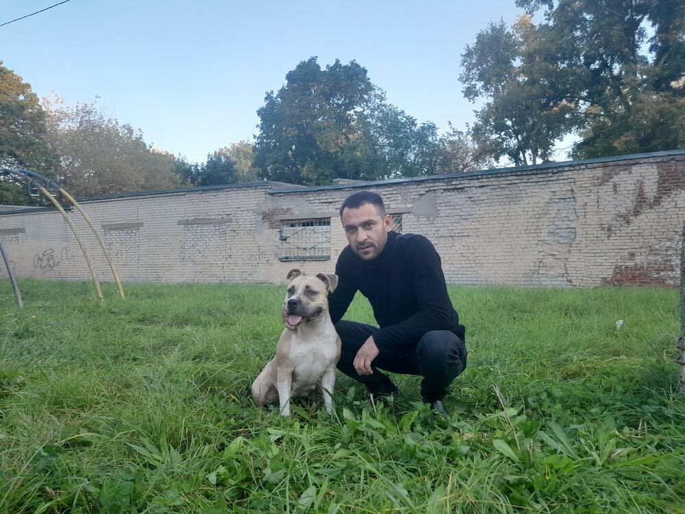 ���������� ������, ���� ������� �����, 36 ���, ������������ ��� ������, ����� � ���������