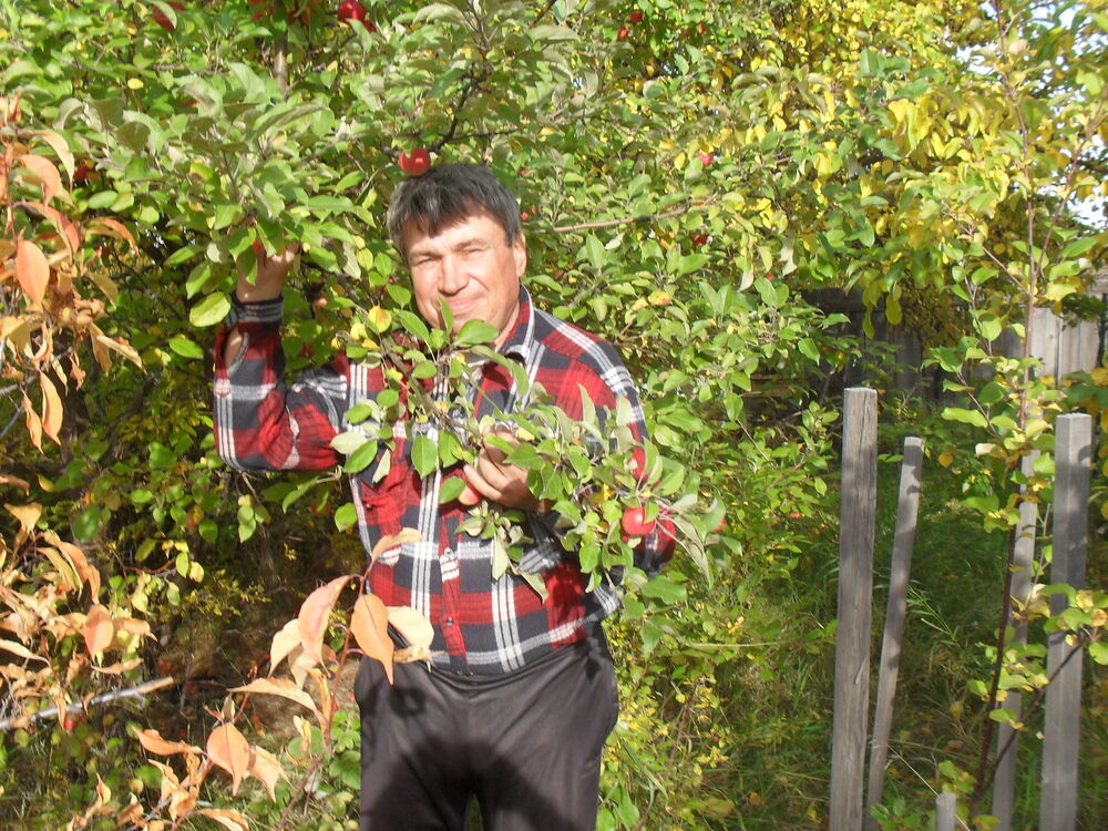  24734826  Vasiliy, 71 ,    
