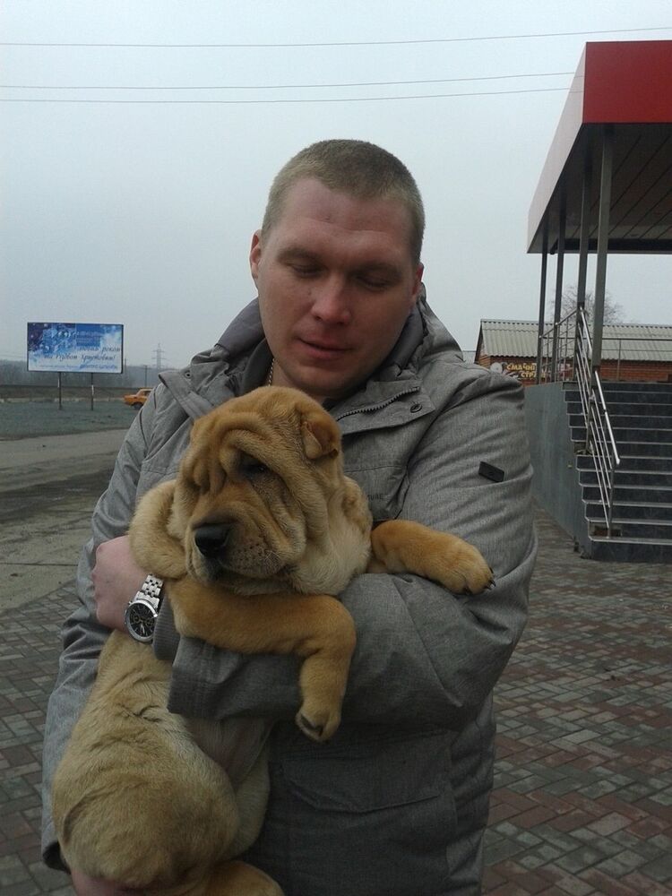 ���� 8123666 ������� ���������, 41 ���, ���� ���������� � ������������