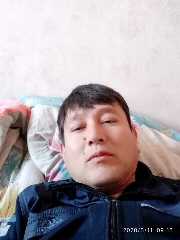  20784196  , 40 ,    